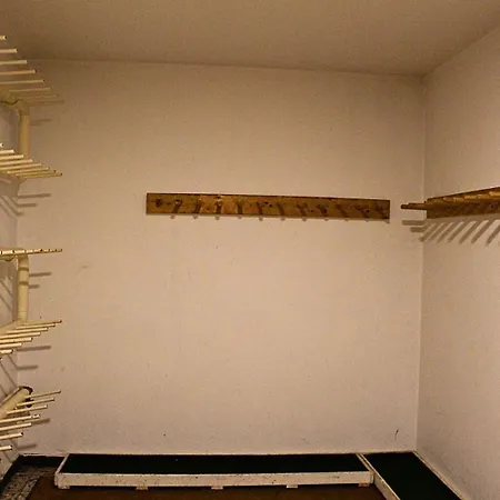 Silian